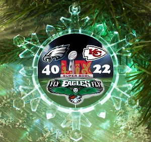 Philadelphia Eagles Super Bowl 59 Snowflake Holiday Christmas Tree Ornament - Picture 1 of 4