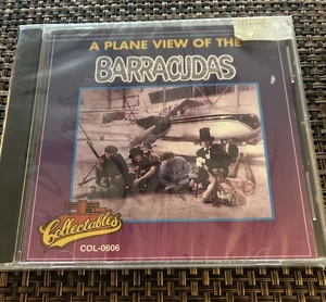 Plane View of The Barracudas - Bild 1 von 2