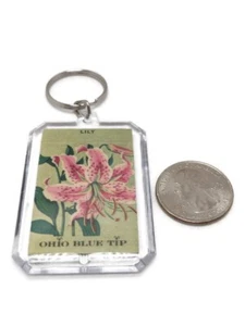 Llavero de flor de lirio punta azul Ohio cubierta de libro de cerillas vintage reutilizado  - Imagen 1 de 2