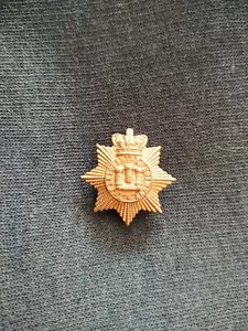 Devonshire Regiment Collar Badge 1899 - 1902 Churchill 337 - Picture 1 of 3