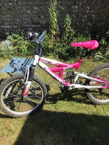 Girl Mountain Bike 20 Inch Good Working Condition - Picture 1 of 7