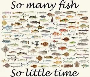 T-Shirt So Many Fish So Little Time zum Aufbügeln + helle & dunkle Stoffe #27 - Bild 1 von 2