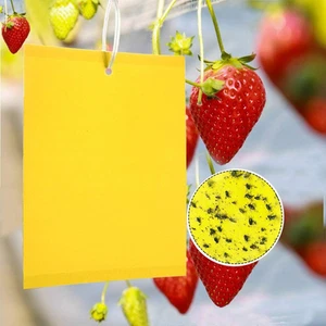 50Pezzi Adesivi Gialli, Fly Paper Stickers, Sticky Fly Catchers Dual-Side Trappo - Foto 1 di 12