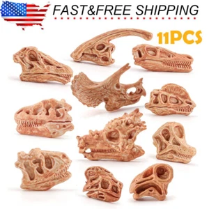 Simulated Dinosaur Skull Excavation Prehistoric Animal Bone Model Decoration USA - Picture 1 of 6