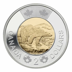 π¨π¦ Canada Toonie $2 Dollars Coin, Polar Bear, Bi-Metallic, 2012 - Picture 1 of 2