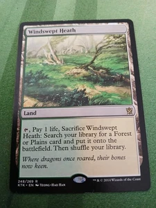 Windswept Heath - Khans of Tarkir (MTG) NM - Picture 1 of 1