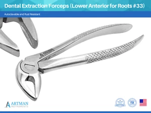 Fórceps de extracción dental (anterior inferior para raíces #33) ARTMAN - Imagen 1 de 8