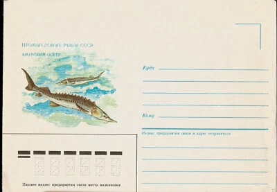 Fish Japanese or Amur Sturgeon Russian USSR CCCP Mint Cover - Image 1 of 2