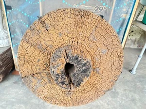 Large golden teak wood ox cart wooden wheel - Picture 1 of 7