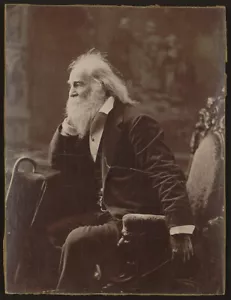 Fotografia Walt Whitman - Foto d'epoca del 1881 - Foto 1 di 1
