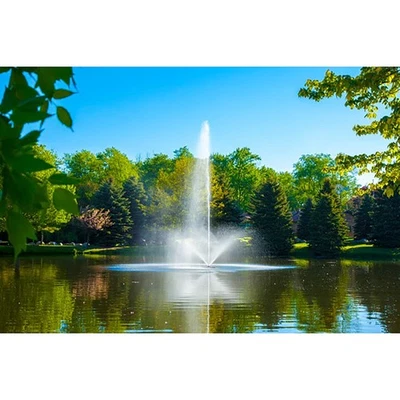 Аэратор Skyward Fountain 1/2 л.с. 230 В 70 футов Scott 13006 - Изображение 1 из 2