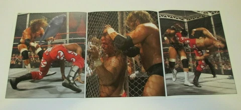 WWE Hell In A Cell Double Sided 23" x 11" Poster WWF HIAC HBK HHH AUSTIN ANGLE Cover