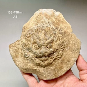 A31  Ancient Chinese tile-end with beast pattern of Tang Dynasty 唐代兽面瓦当 - Picture 1 of 7