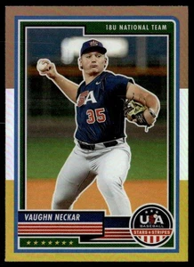 2023 Panini Stars & Stripes Prizm Vaughn Neckar USA #12 - Picture 1 of 2