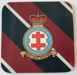 Montaña rusa Royal Air Force, 41 escuadrón - Imagen 1 de 2