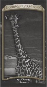 2017 Upper Deck Goodwin Champions Mini #118 Giraffe
