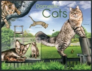 Solomon Islands Scott# 1231, Domestic Cats 2013 S/S, VF/XF MNH, SCV: $8.00 - Picture 1 of 1