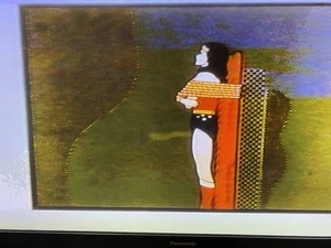Lot 2 Vtg VHS Tape WONDER WOMAN Collector's Edition DC Comics Girl from Islandia - Picture 1 of 13