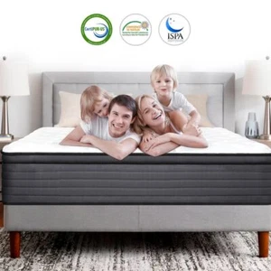 12" 14" Gel Memory Foam Hybrid Spring Mattress Twin Full Queen King Bed in a Box - Picture 1 of 15