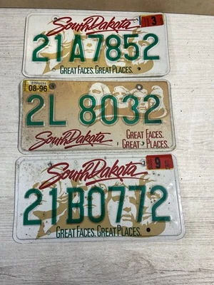 3 x placas de licença vintage genuínas dos EUA Dakota do Sul Home Bar Man Cave 12" x 6" - Imagem 1 de 4