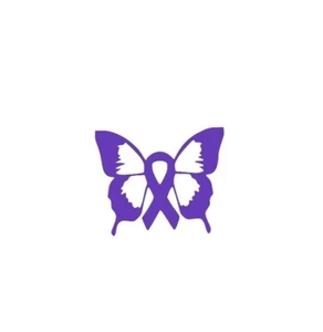 FIBROMYALGIA AWARENESS RIBBON BUTTERFLY CAR STICKER HIDDEN DISABILITY - Picture 1 of 4