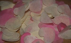 PINK & WHITE Biodegradable Wedding Confetti - Hand made in the UK - Cones?  FUN 