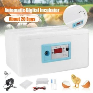 Temperature Control Brooder Poultry Hatcher Egg incubator Farm Incubation Tools - Picture 1 of 10