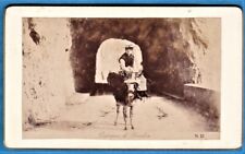 cdv photo donkey & girl of Beaulieu Riviera France ca 1885