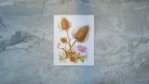 Current Blank Note Card w/ Thistles & Flowers Meadow Blossoms by Dick Dahlquist - Picture 1 of 2