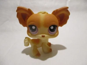 PETSHOP CHIEN PAPILLON N°96 - Imagen 1 de 1