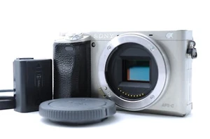 Near Mint SONY Alpha ILCE-6000 α6000 Digital Camera Body Silver From Japan - Picture 1 of 24