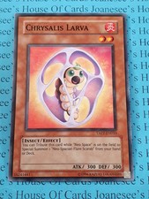 Chrysalis Larva TAEV-EN010 Common Yu-Gi-Oh Card (U)