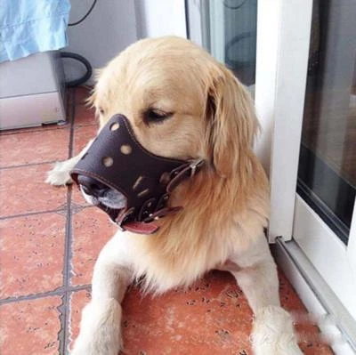 PU Leather Dog Muzzle No Bite No Barking Dog Training Mask For Dogs - Image 1 of 4