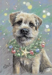 Border Terrier Christmas card pack of 10 'A Christmas Star' by Paul Doyle C555x - Picture 1 of 2