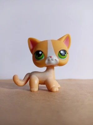 Littlest Pet Shop Short Hair Cat #72 Hasbro LPS 2004 Green Eyes Curious Kitties - Image 1 of 3