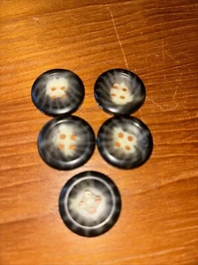 Eddie Bauer Replacement Buttons (7 Buttons) Stamped logo I Believe Coat - Picture 1 of 5