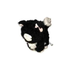 American Girl Doll 2017 Retired Pet CAT Licorice Black Plush Stuffed Animal - Picture 1 of 10