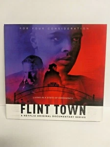 FYC Flint Town DVD - Picture 1 of 4