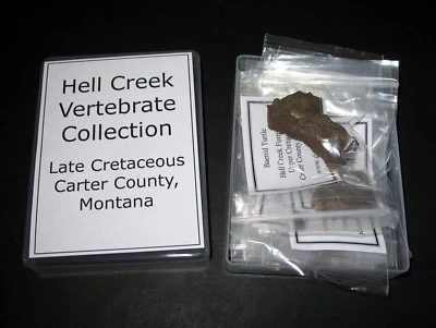 Cretaceous Hell Creek fossil collection 15 sp. dinosaur turtle croc tooth jaws - Image 1 of 4