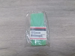 Honda 17218-ZG9-800 OEM Air Filter Element - Picture 1 of 3