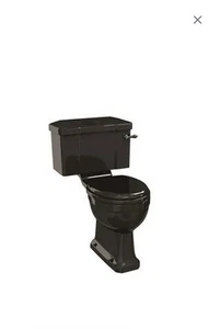 Burlington Jet Black Toilet - Picture 1 of 11