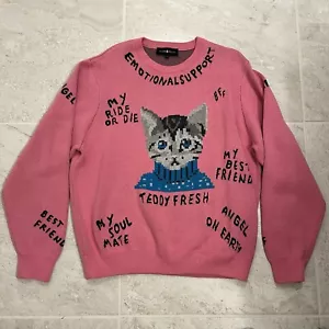Teddy Fresh Sweater Pink My Best Friend Cat Gary Kennedy Intarsia Pullover XL - Picture 1 of 4