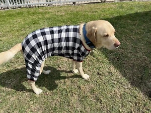 Dog Sweater White/Black Buffalo Plaid Flannel With Red Trim and Sleeves Sz XL - Picture 1 of 5