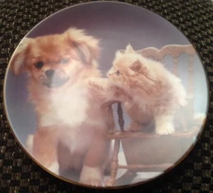 Royal Worcester Chester & Tiggy Blue Cross Pet Portraits Sammelteller - Bild 1 von 5