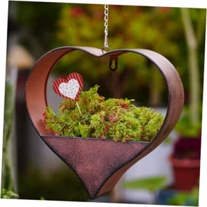 Metal Hanging Planters for Indoor & Outdoor Plants - 12 Inch Heart Cooper - Picture 1 of 7