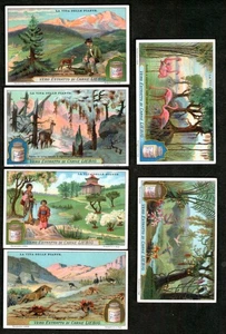 Juego de tarjetas comerciales Liebig 1898... S566 F565 #195 - Imagen 1 de 1