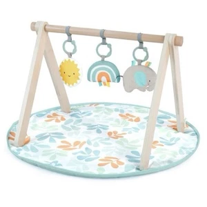 Ingenuity Cozy Spot Reversible Duvet Activity Gym & Play Mat - Picture 1 of 9