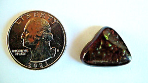 Andy's Gem Garage Sale - 14ct Mexican Fire Agate - #3- Unusual Colors - Awesome