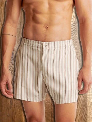 Abercrombie & Fitch Men's The A&F 5"/13cm Resort Short (S) Light Brown Stripe — 第 1/4 张图片