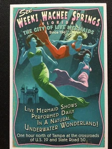 Weeki Wachee Springs Since 1947 Rare Florida 6x4 Art Postcard Live Mermaid Shows - Picture 1 of 2